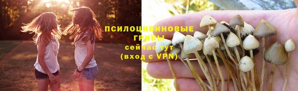 спиды Навашино