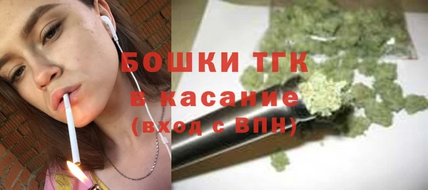 молекула духа Михайлов