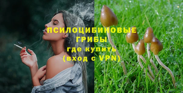 МДПВ Наволоки