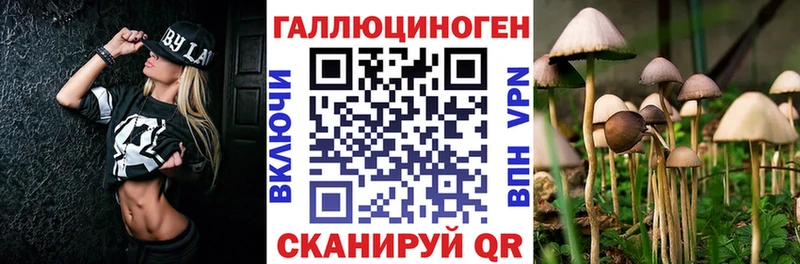 Псилоцибиновые грибы мицелий  Купить где  Ревда 
